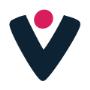 Viddo Logo