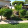 Our experienced tradesmen can solve your problems by mowing the lawns, weeding your gardens and pruning your trees.