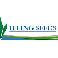 Illing Seeds