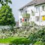 Residential Tree Service
