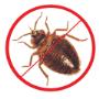 Bed Bug Pest Control