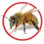 Bees Pest Control