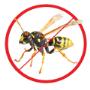 Wasps Pest Control