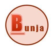 Bunja Maintenance and Painting Services