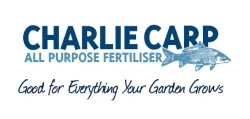 Charlie Carp Ltd
