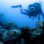 Prodive Cairns