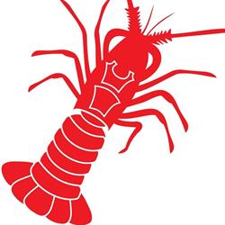 Southern Fish Marine