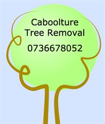 Caboolture Tree Removal - Tree Lopping