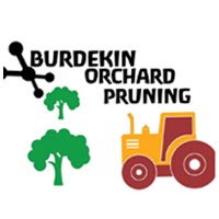Burdekin Orchard Pruning