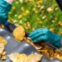 Roof Restoration and Repairs