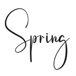 Spring Acupuncture, Fertility and Pregnancy Clinic