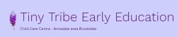 Tiny Tribe Early Education