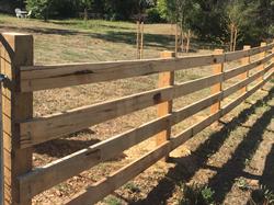 Campbell Fencing