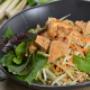 Green Papaya Salad with Tofu