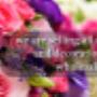 wholesale flower delivey