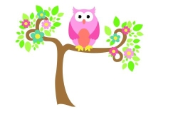 Treetops Daycare @ Kirrawee