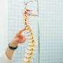 Low Back pain chiropractor Adelaide