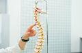 EXPERIENCED SLIPPED DISC CHIROPRACTOR