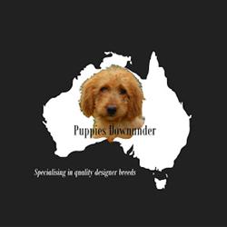 Puppies Downunder Australia (VIC)