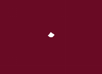 Australian Cosmetics's website