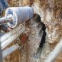 Recommended concreters, Concreters