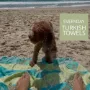 cheap beach towels