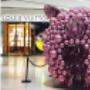 Balloon Installations