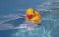 Pool Safety Inspections Brisbane