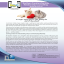Relationship Counselling 2024 brochure