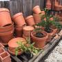 Range of Italian style terracotta pots. Simple but elegant shapes offer great practicality and timeless design.