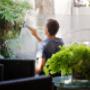 Window Cleaning
