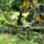 Block clearing