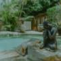 day spa tweed heads