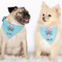 Dog Bandanas