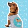 Dog Clothes