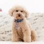Dog Collars