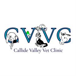 Callide Valley Veterinary Clinic
