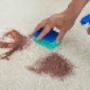 Carpet Stain Removal