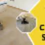 Carpet Dry Cleaning Services