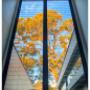 Window Cleaning Woolooware