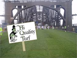 Hi Quality Turf Supplies Sydney