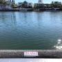 fenders pontoons Gold Coast