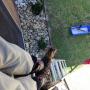 Well hello little cat. Come to help me clean windows?