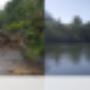 Gold-Coast-Arborist-Services