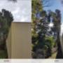 Gold-Coast-Tree-Lopping