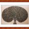 Madhubani-Tree-of-Life
