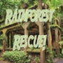 Rainforest Rescue escape room