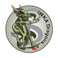 Kung Fu for Kids Ages 10-12