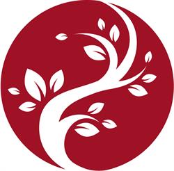 Henry Yin Acupuncture & Chinese Herbal Medicine
