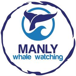 Manly Whale Watching